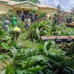 COCOFeG presents over 80,000 coconut seedlings to farmers in Nkoranza Municipality 