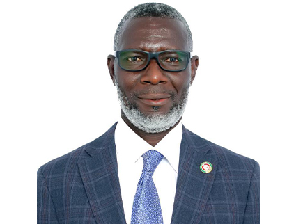 Ghana’s Appeals Court Judge Elected to Advisory Committee of UN Human Rights Council