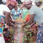 Iseguri Initiative trains women, young feminists in climate-smart organic gardening