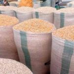 Maize price crashes, leaves Sissala farmers in limbo as harvest season slows